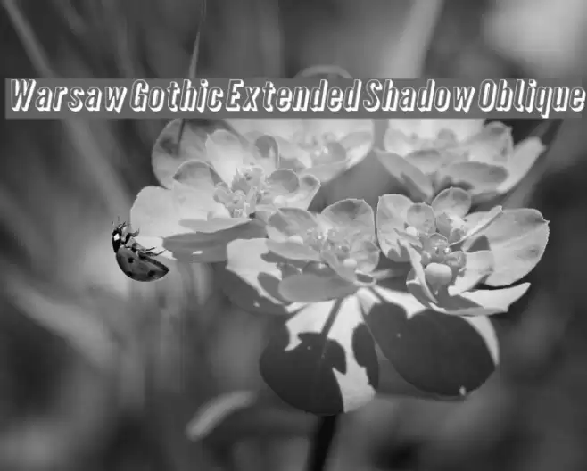 Warsaw Gothic Extended Shadow Oblique फ़ॉन्ट examples