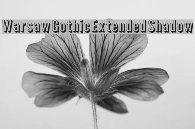 Warsaw Gothic Extended Shadow Schriftart examples