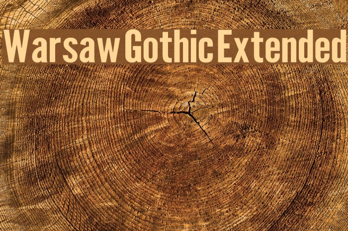 Warsaw Gothic Extended Font examples