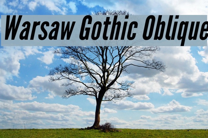 Warsaw Gothic Oblique Font examples