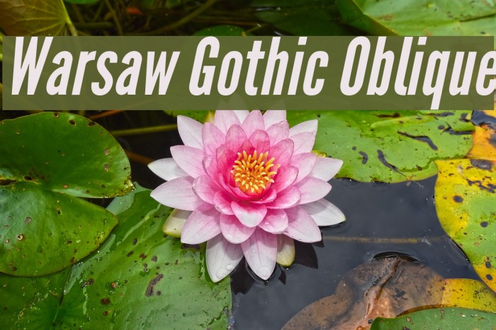 Warsaw Gothic Oblique Font examples