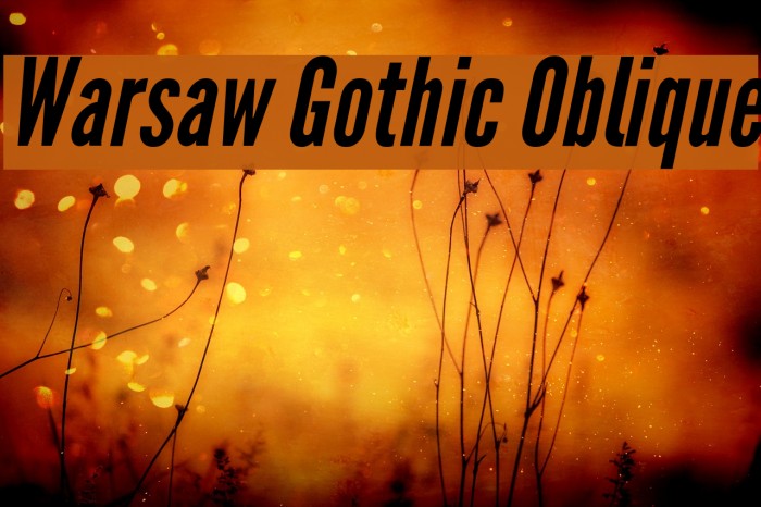 Warsaw Gothic Oblique Font examples