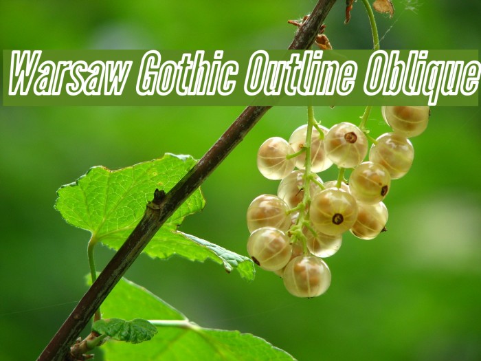 Warsaw Gothic Outline Oblique Font examples
