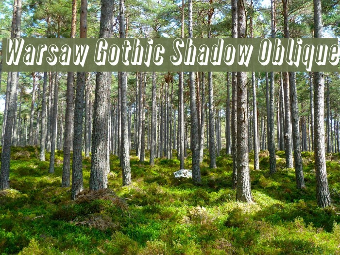 Warsaw Gothic Shadow Oblique Font examples