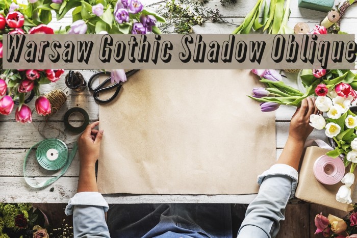 Warsaw Gothic Shadow Oblique Font examples