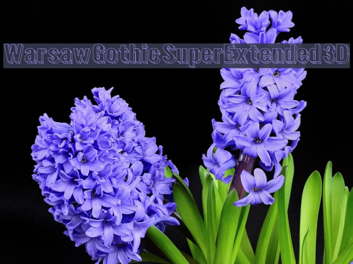 Warsaw Gothic SuperExtended 3D Example 2