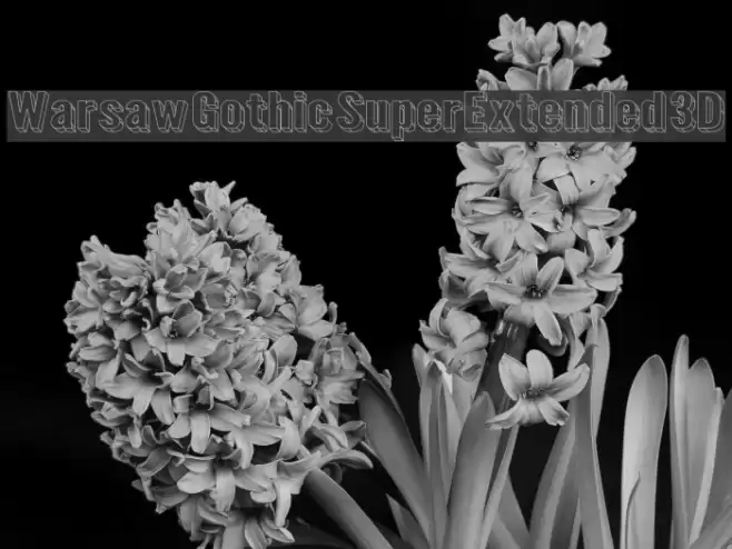 Warsaw Gothic SuperExtended 3D Font examples