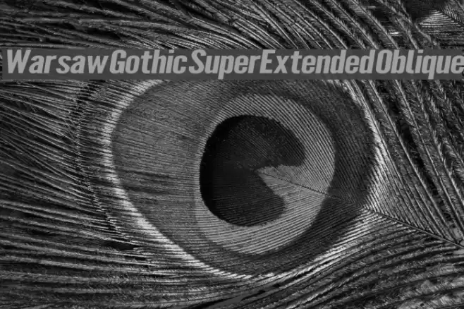 Warsaw Gothic SuperExtended Oblique Font examples