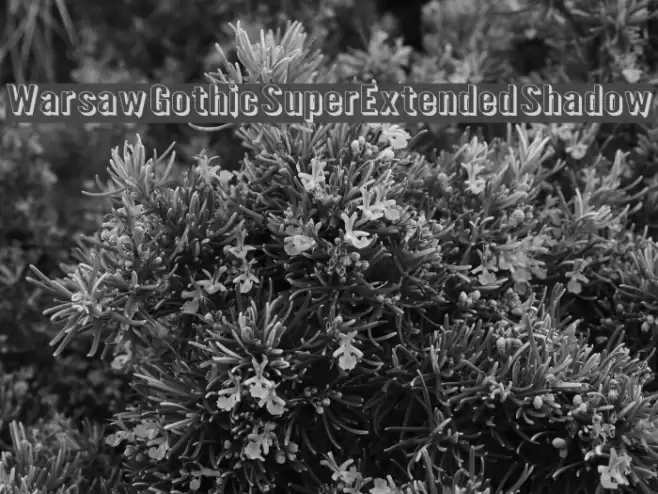 Warsaw Gothic SuperExtended Shadow Font examples