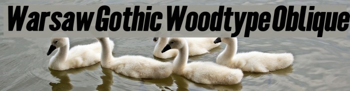 Warsaw Gothic Woodtype Oblique Example 1