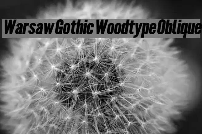 Warsaw Gothic Woodtype Oblique Font examples