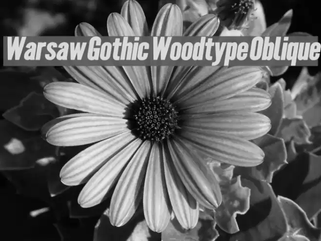 Warsaw Gothic Woodtype Oblique Font examples