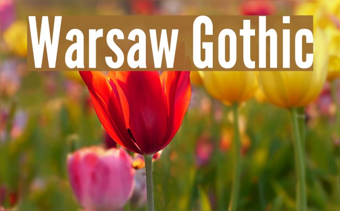 Warsaw Gothic Font examples
