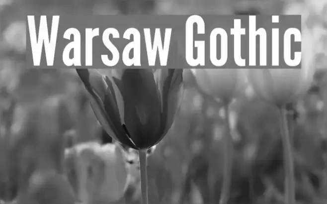 Warsaw Gothic Font examples