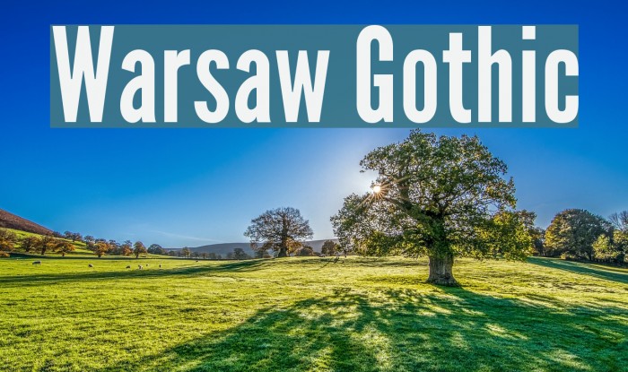 Warsaw Gothic Font examples