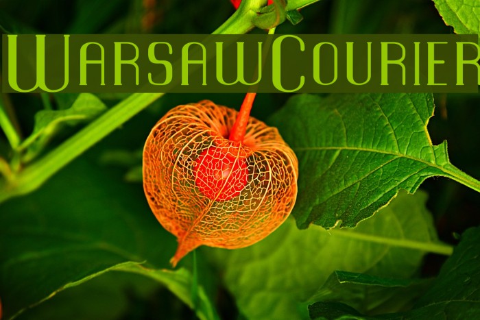 WarsawCourier Font examples