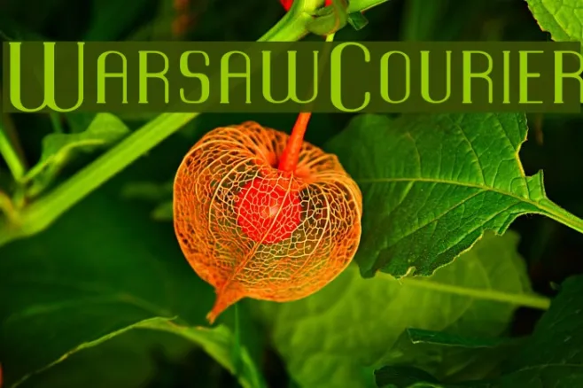 WarsawCourier Example 2