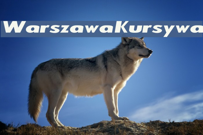 Warszawa Kursywa Font examples