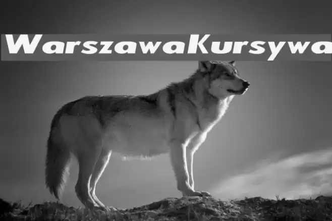 Warszawa Kursywa フォント examples