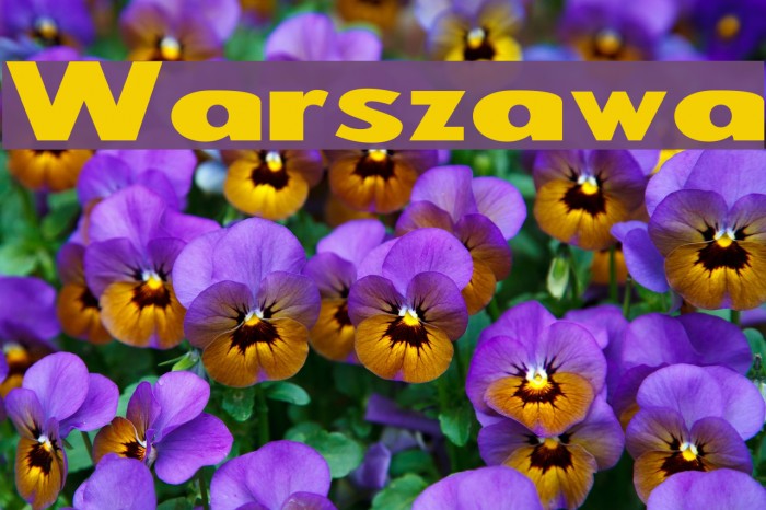 Warszawa Font examples