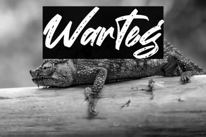 Warteg Font examples