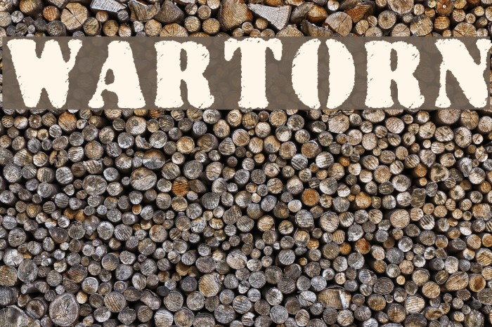 Wartorn Font examples