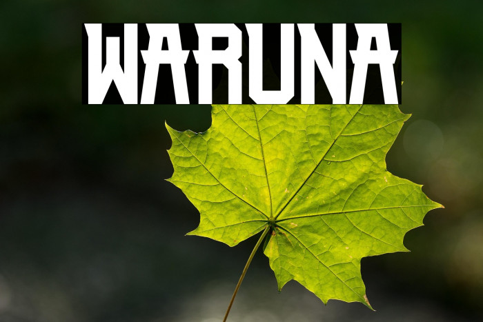 Waruna Example 3