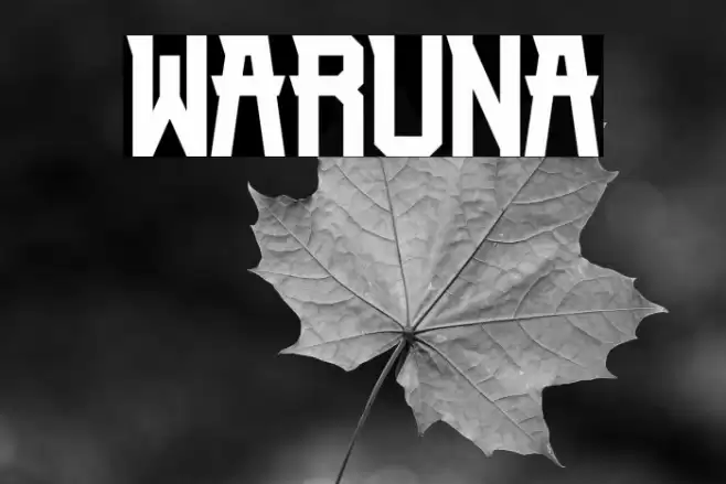 Waruna Font examples