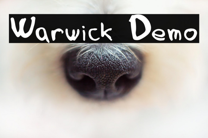 Warwick Demo Example 3