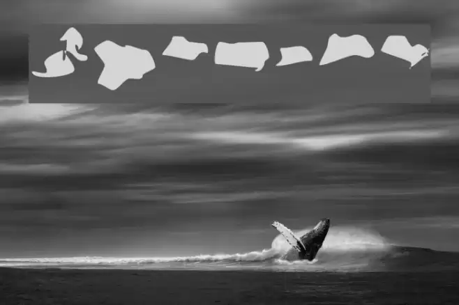 Warzone Font examples