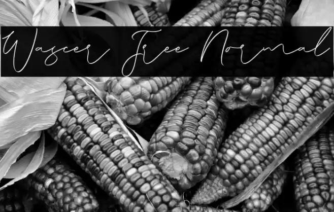 Wascer Free Normal Caratteri examples