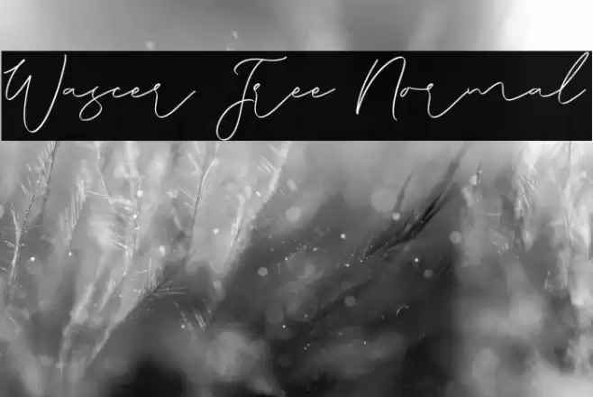 Wascer Free Normal Caratteri examples