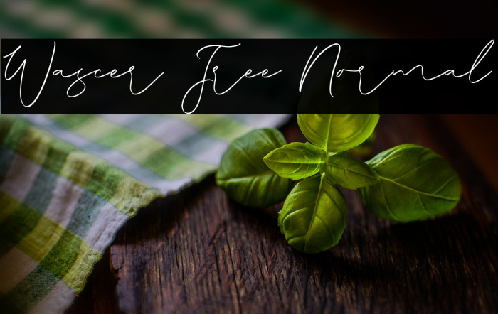 Wascer Free Normal Example 3