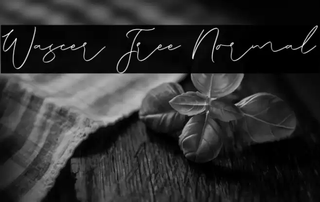 Wascer Free Normal Caratteri examples