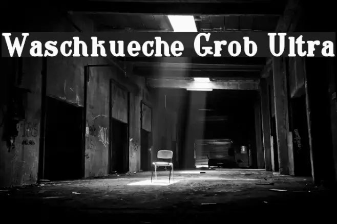 Waschkueche Grob Ultra Caratteri examples