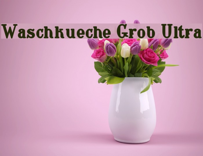 Waschkueche Grob Ultra Font examples