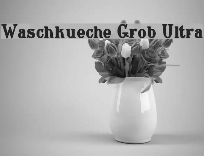 Waschkueche Grob Ultra Caratteri examples