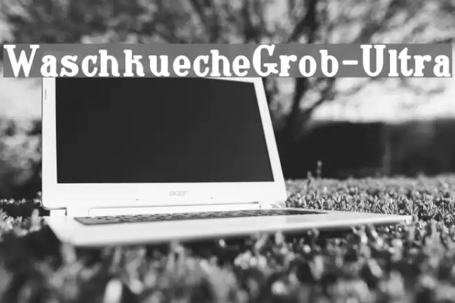 WaschkuecheGrob-Ultra Font examples