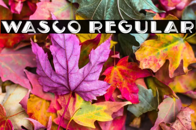 Wasco Regular Example 3