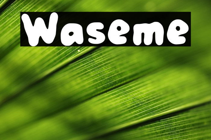 Waseme Example 1