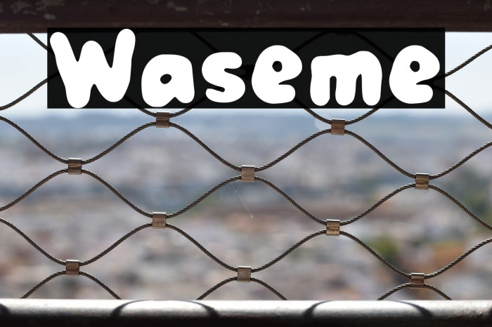Waseme Example 2