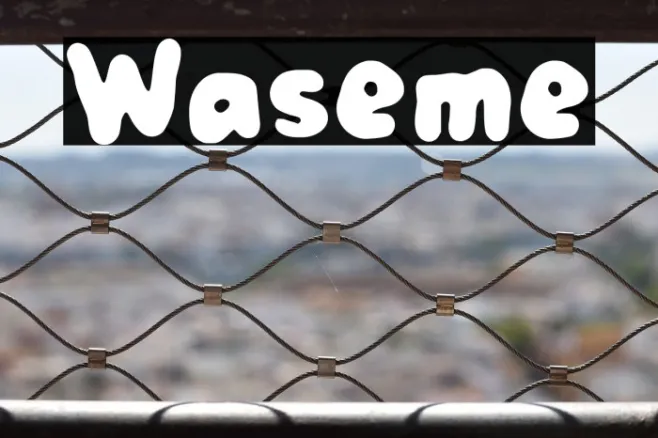 Waseme Example 2
