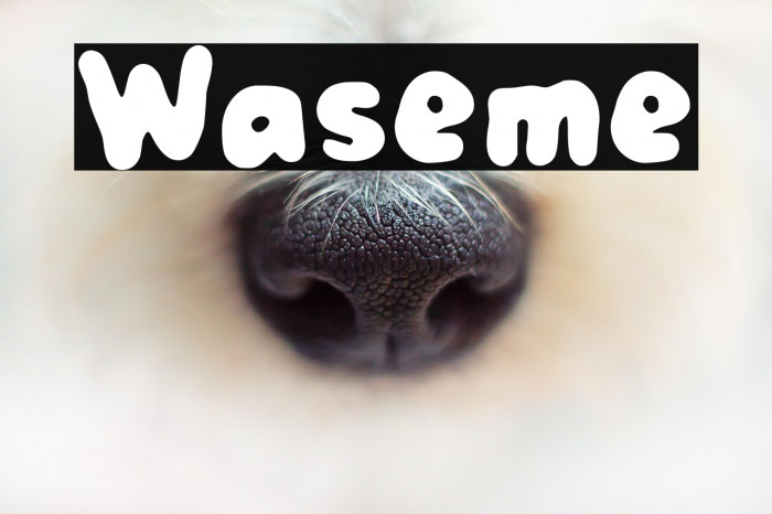 Waseme Example 3