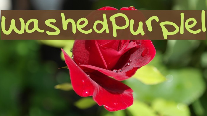 WashedPurple1 Font examples