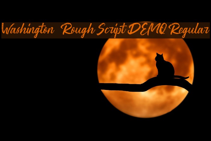 Washington ~ Rough Script DEMO Regular Font examples