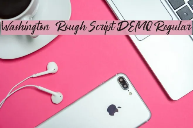 Washington ~ Rough Script DEMO Regular Example 2