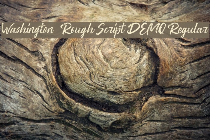 Washington ~ Rough Script DEMO Regular Font examples