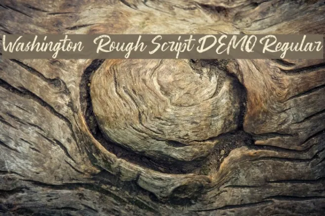 Washington ~ Rough Script DEMO Regular Example 3