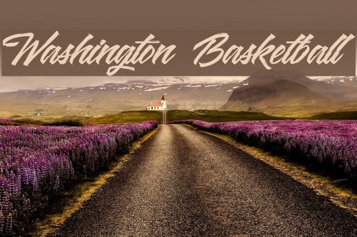 Washington Basketball Font examples