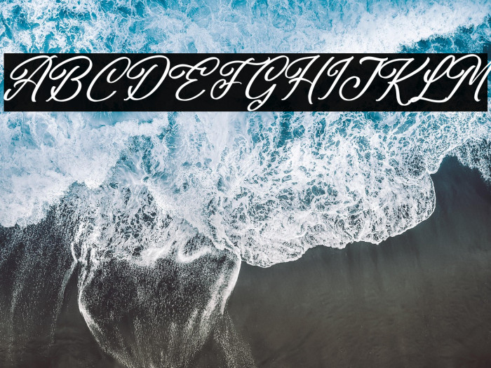 Washington Delmonte Italic Example 2